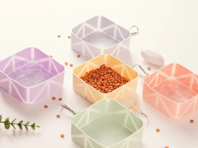 Collapsible Travel Pet Bowl